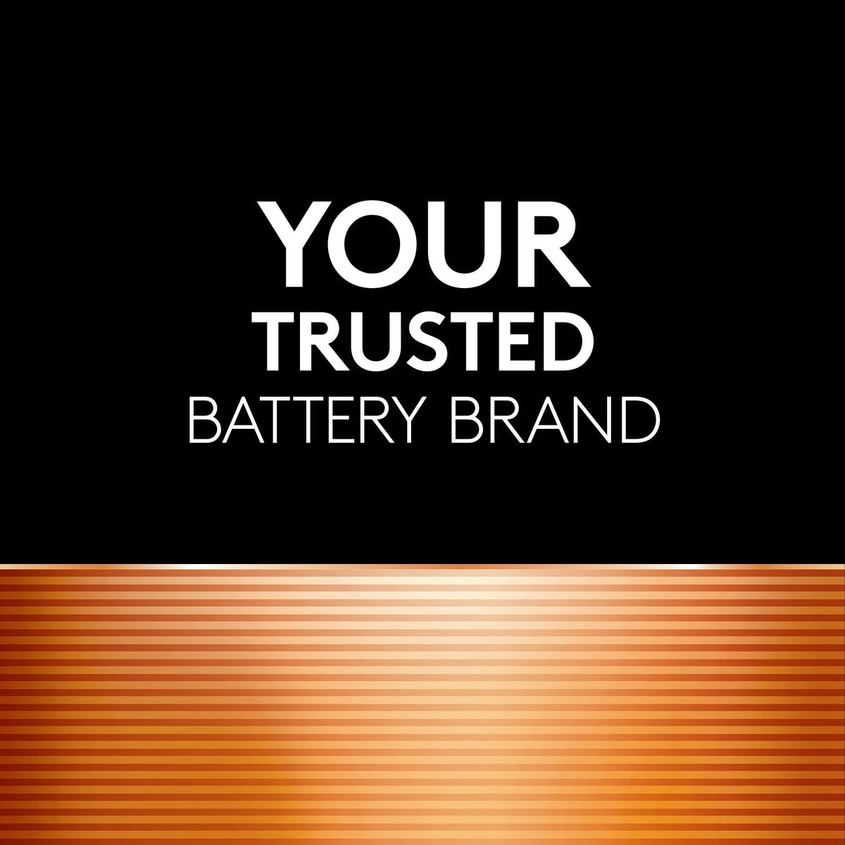 Duracell Coppertop AAA Batteries, Alkaline,16-pk