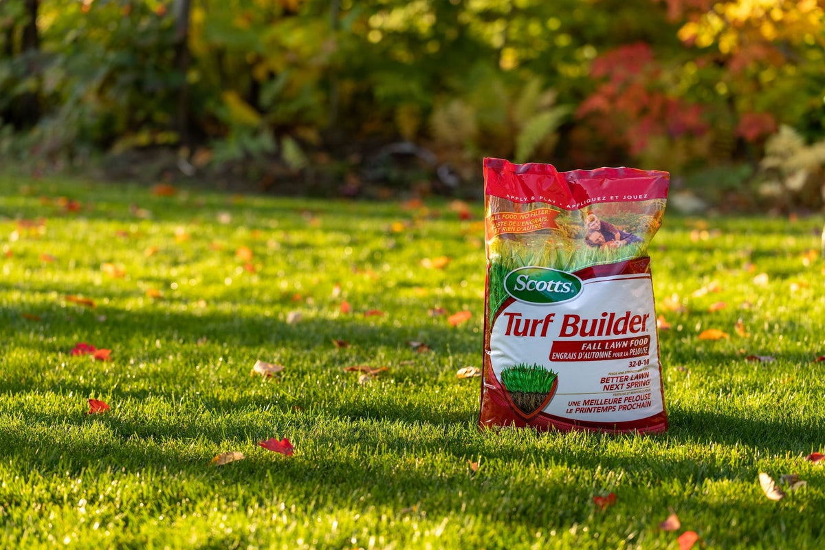 Scotts Turf Builder Fall Lawn Fertilizer, 5.25-kg