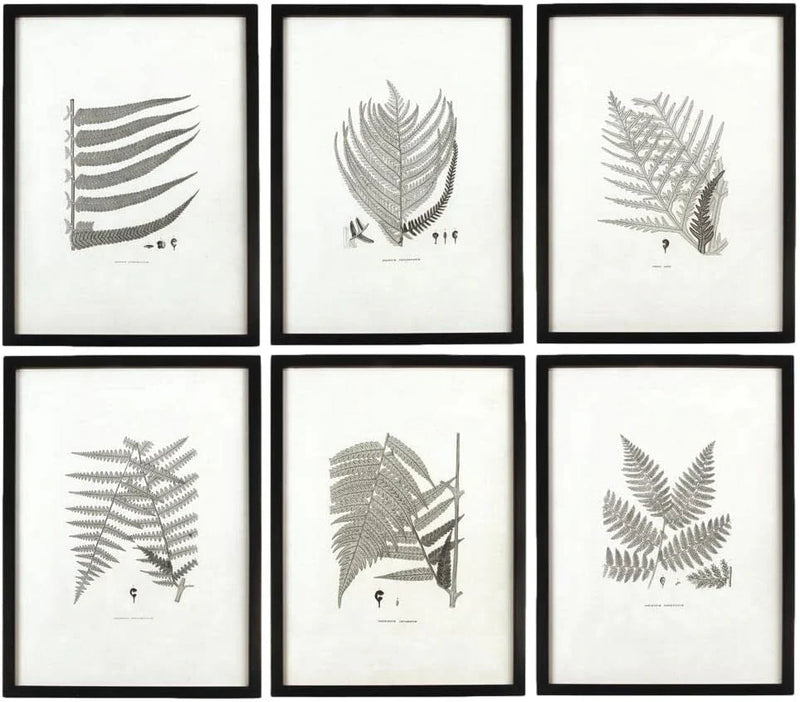 MY SWANKY HOME Modern Set of 6 Black White Fern Prints Botanical Framed Monochrome 29 in V3