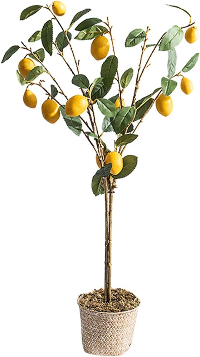 Fake Bonsai Tree The Artificial Plant Small Potted Plant Decorates The Artificial Flower Lemon Tree, 37 Inches High, It is A Good Choice Both Indoors and Outdoors. Artificial Bonsai Tree C6