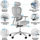 Ergo3D Ergonomic Office Chair -- High Back Mesh Desk Chair with 3D Adjustable Armrests, Wheels, for Home and Office (Black)
