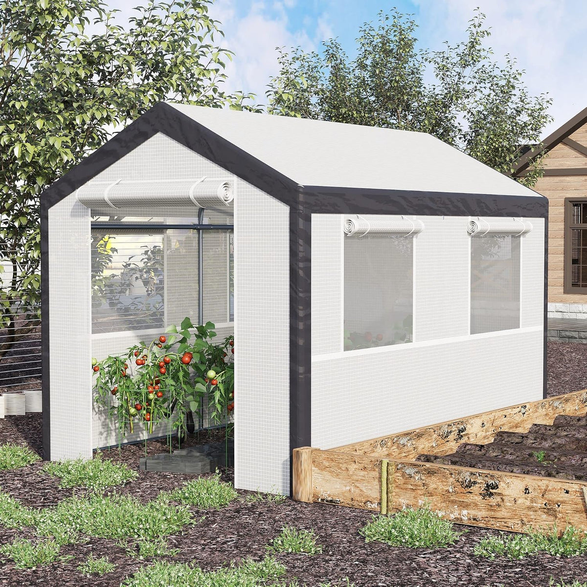 A 20-foot x 10-foot x 9-foot walk-in green house with an outdoor garden greenhouse, equipped with 6 roll-up windows, 2 zipper doors and a rain cover, in white color.