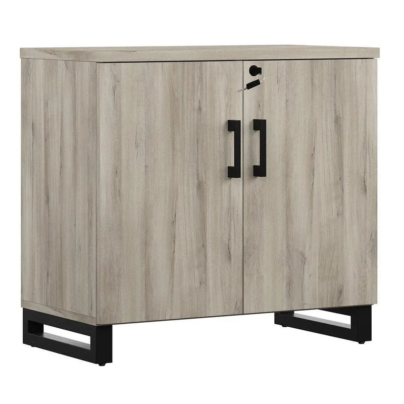 Storage Cabinet & Bookshelf, Weathered Oak R9