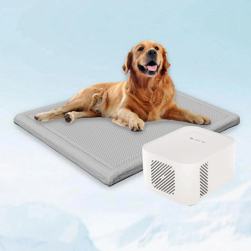 Pet Bed Cooling System, Consistent Warm and Cold Water Pad, No Electric Shock or Chemical Gel Needed, Machine Washable Bed, Ideal for Home and Crates (Cooling & Heating Green, 41" x 28") E5