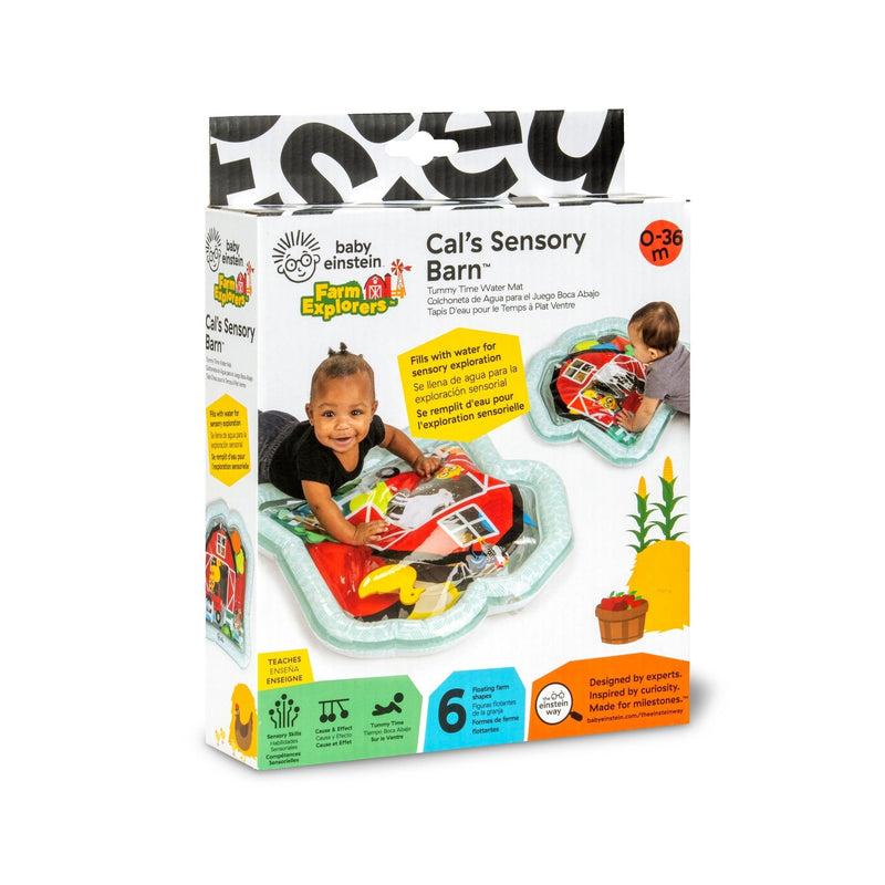 Baby Einstein Cal's Sensory Barn Tummy Time Water Mat F9