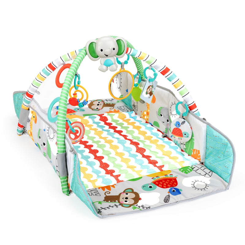 Bright Starts 5-in-1 Your Way Ball Play Gym L4
