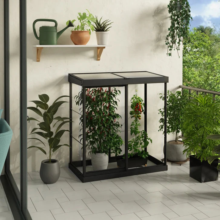Canopia by Palram Ivy 4 ft. x 2 ft. Mini Greenhouse Kit M8