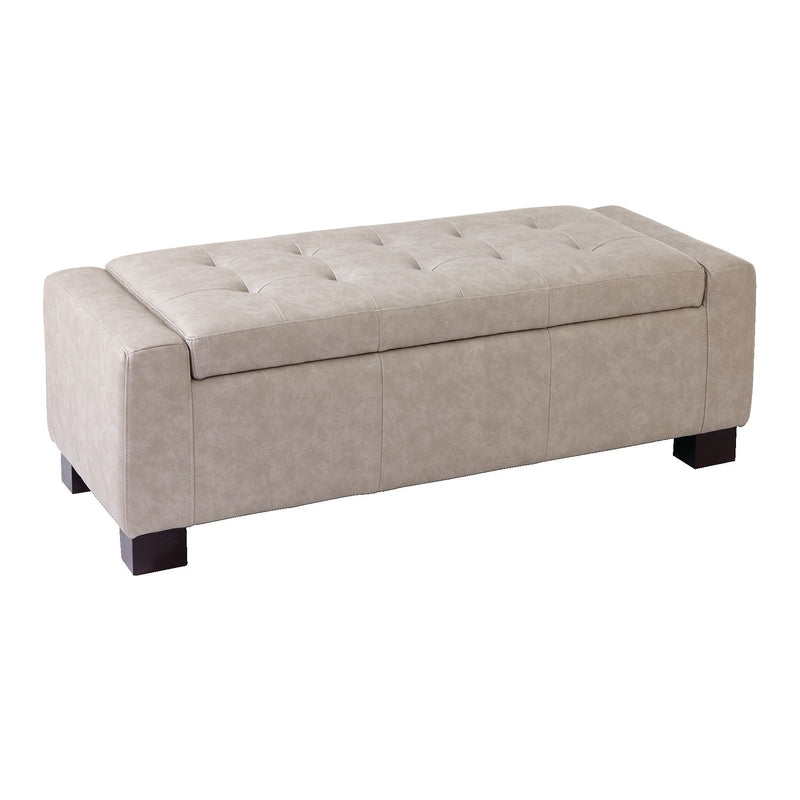 CANVAS Louisa Upholstered Hinge-Top Storage Ottoman/Bench With Padded Seat, Light Grey C0