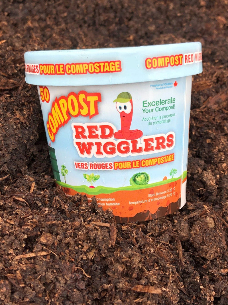 Compost Red Wiggler Live Composting Worms, 50 Count D0