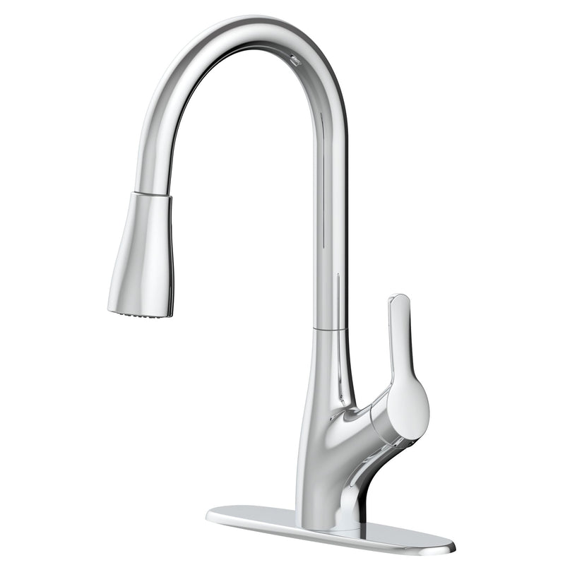 Danze Clarivo 2-in-1 Filtration 1-Handle Pull Down Kitchen Faucet, Various Finishes A5