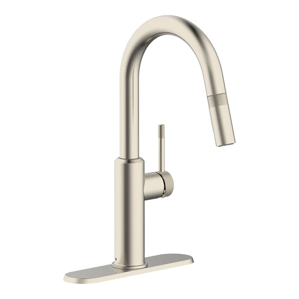 Danze Colby 1-Handle Pull-Down Kitchen Faucet with Knurled Accents, Stainless Steel T1