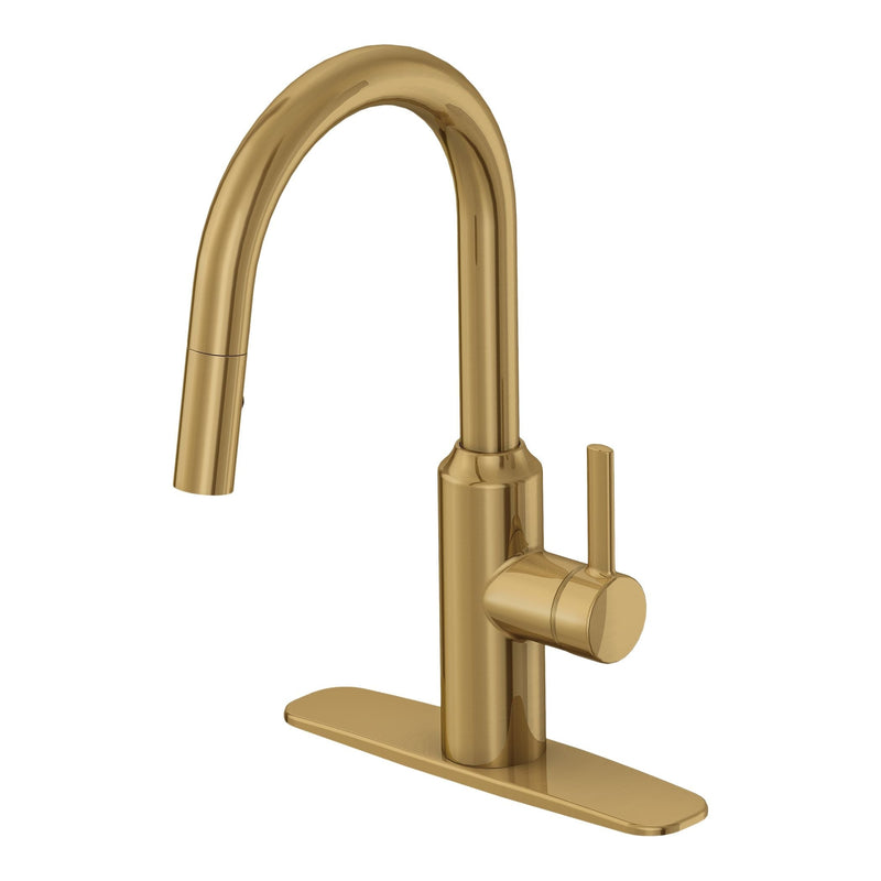 Danze Colby Single-Handle Pull-Down Kitchen Faucet, Brushed Bronze Z7