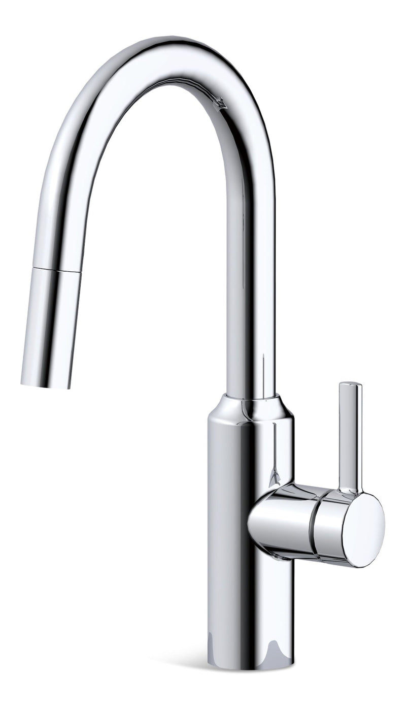 Danze Colby Single-Handle Pull-Down Kitchen Faucet, Chrome T3