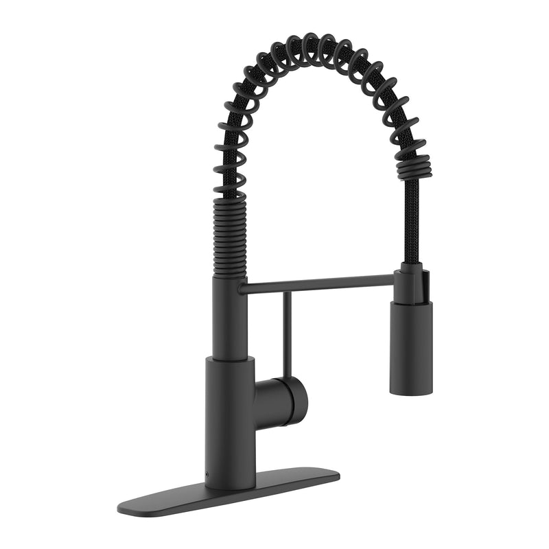 Danze Imi 1-Handle Pull-Down Commercial Style Kitchen Faucet W4
