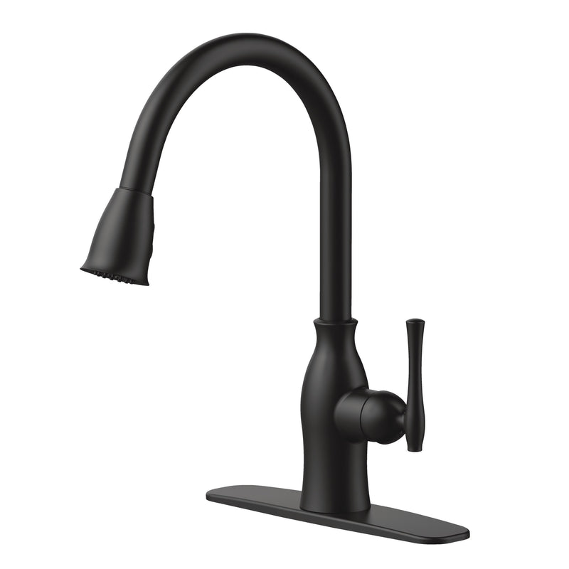 Danze Lisa 1-Handle Pull-Down Kitchen Faucet, Matte Black T1