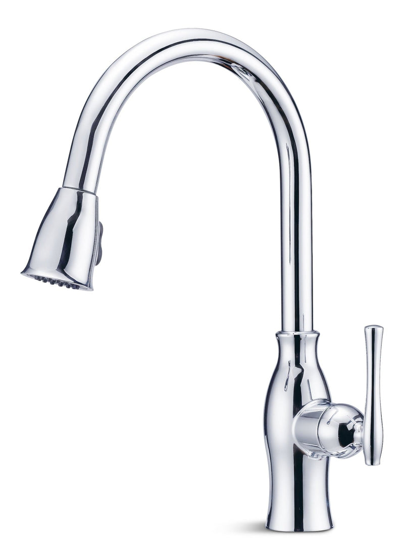 Danze Lisa Single-Handle Pull-Down Kitchen Faucet, Chrome W8