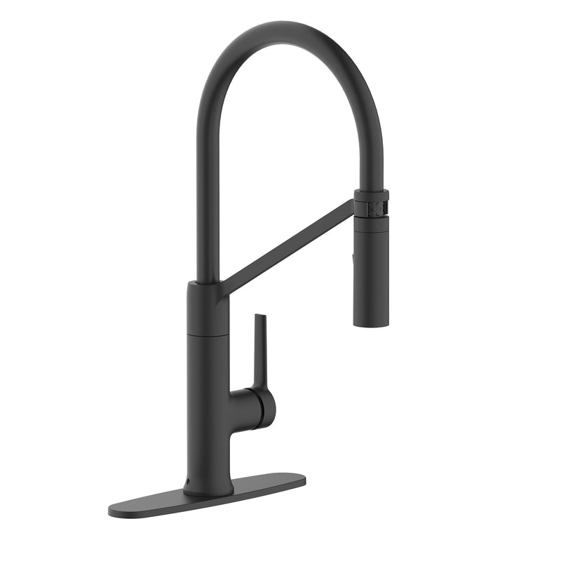 Danze Tana 1-Handle Pull-Down Kitchen Faucet V7