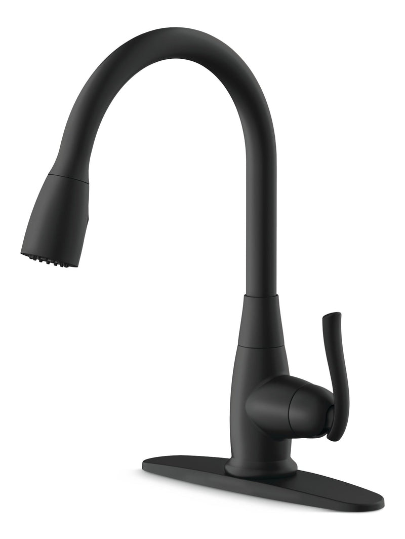 Danze Terrazo 1-Handle Pull Down Kitchen Faucet, Matte Black P2