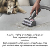 Dyson Ball Animal 3 Extra Upright Vacuum
