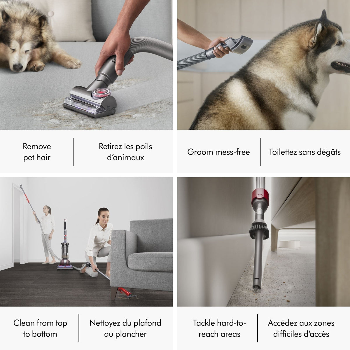 Dyson Ball Animal 3 Extra Upright Vacuum