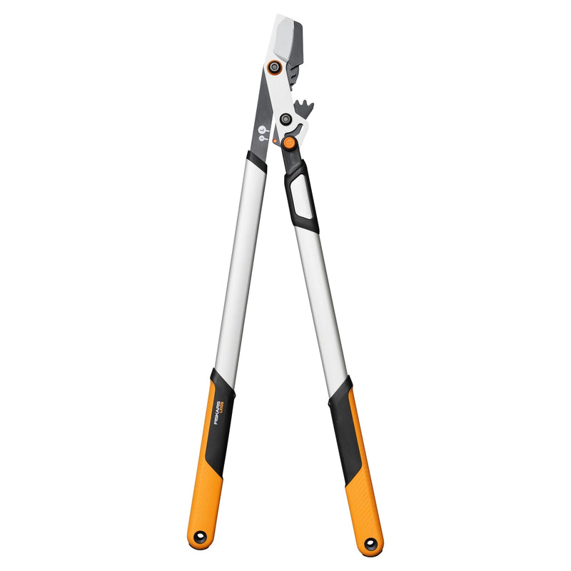 Fiskars Dual Action Steel Lopper with Aluminum Handle B3