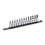 MAXIMUM 3/8-in Drive Tamper Proof Torx Bit Socket Set, Heat-Treated, 13-pc