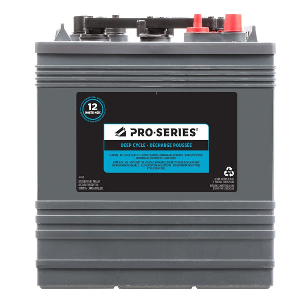 MOTOMASTER AGM Group Size 401 Auxiliary Battery, 180 CCA Y6