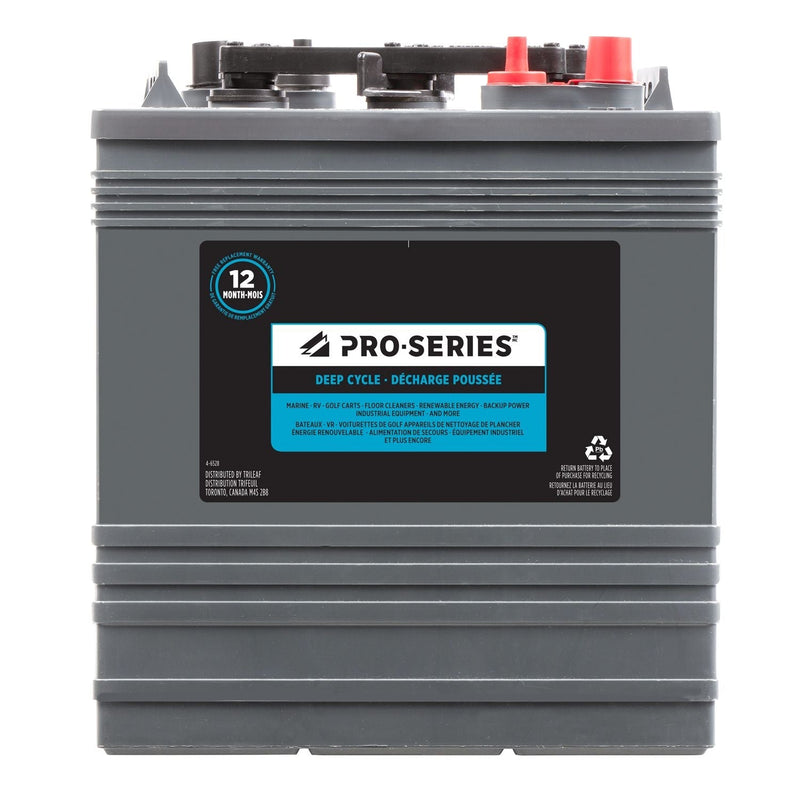 MOTOMASTER AGM Group Size 401 Auxiliary Battery, 180 CCA Y6