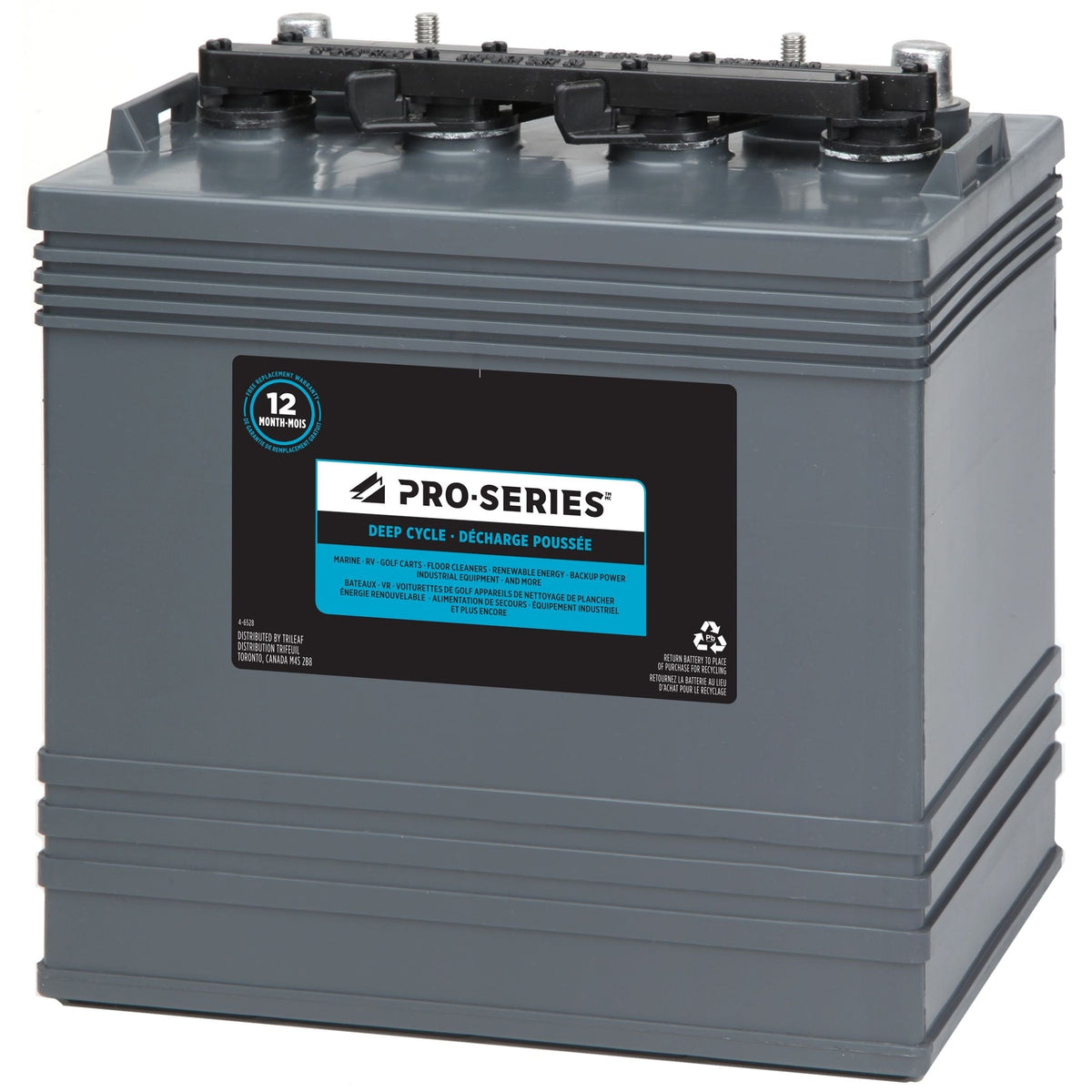 MOTOMASTER Group Size 34 Battery, 700 CCA
