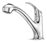 Pfister Shelton Single Handle Pull Out Kitchen Faucet, Chrome