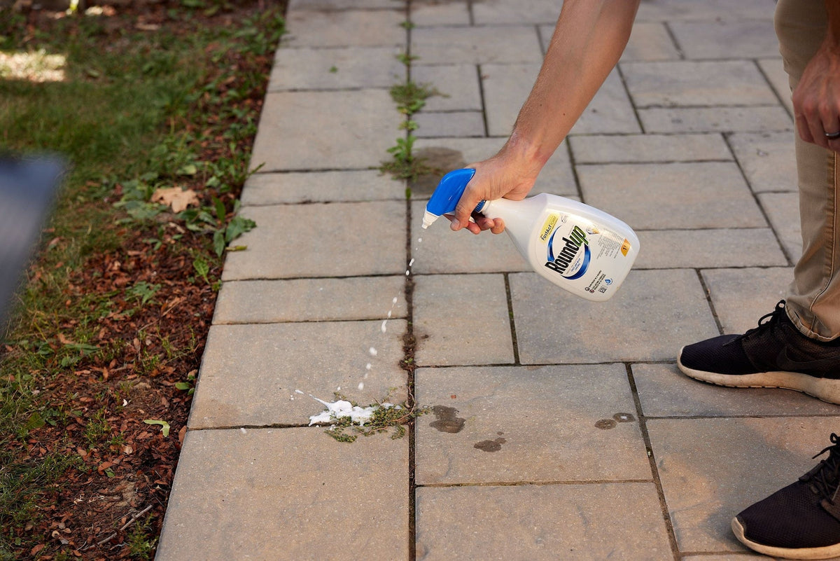 RoundUp Ready-to-Use Herbicide Grass & Weed Control/Killer with Fast Fact Foam, 1-L