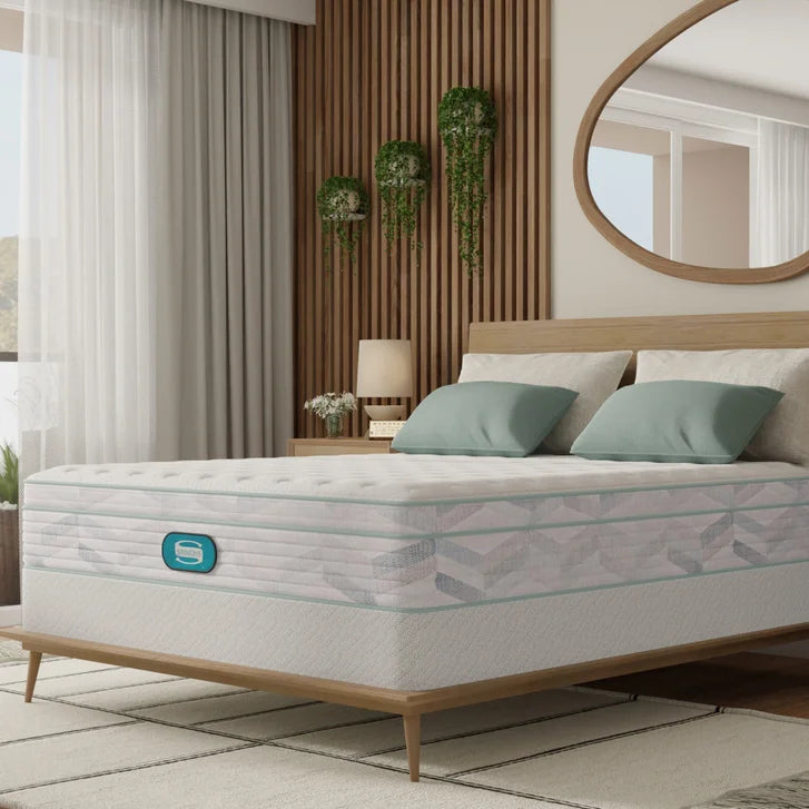 Simmons Bowman 27.9 cm (11 in.) Mattress or Set