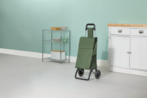 Type A 2-Wheel Shopping Cart, Holds Up to 33-lb R1