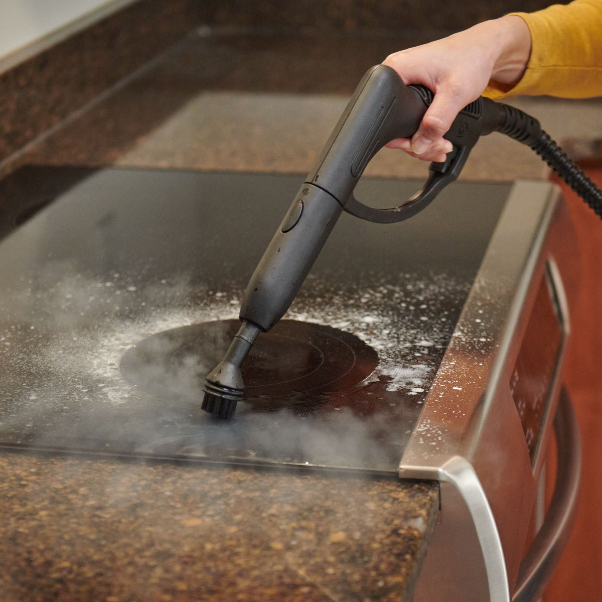 Wagner On-Demand Steamer
