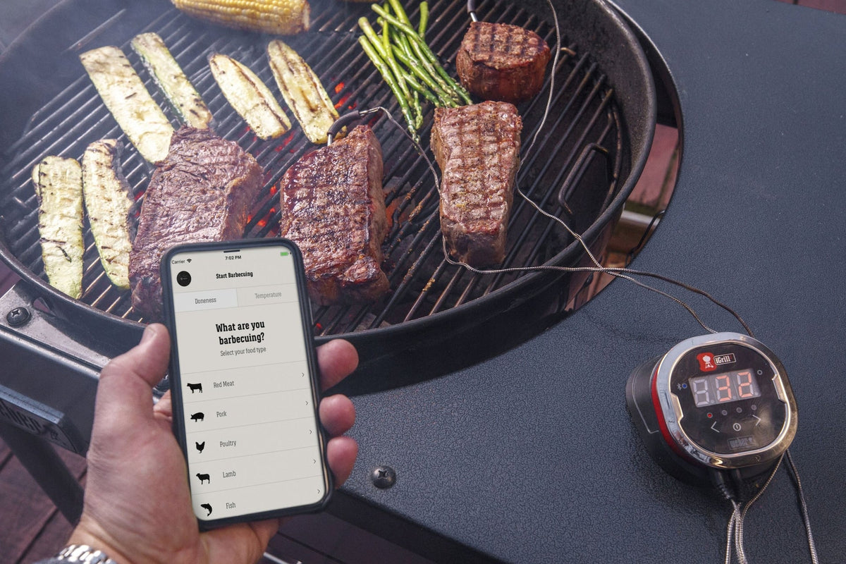 Weber iGrill 2 Bluetooth Meat Thermometer with Stainless Steel Probes