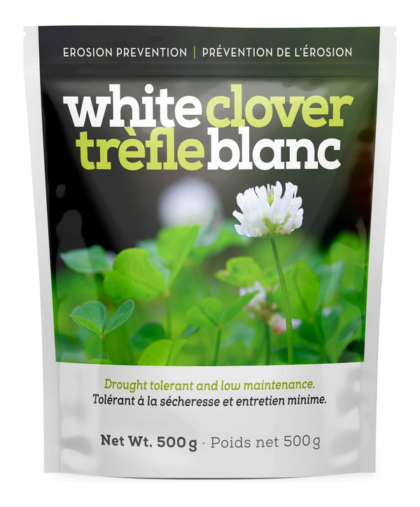 White Clover Erosion Control Grass Seed 500g Z4